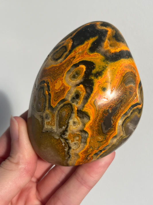 'Archelon' Old Stock Orbicular Bumblebee Jasper Freefom #11