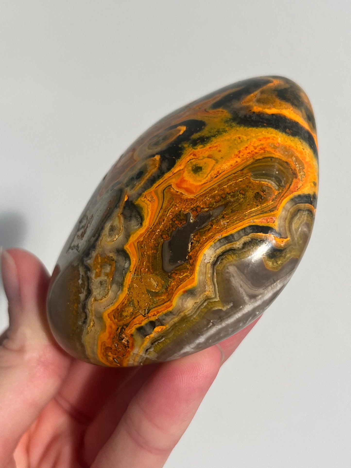 'Archelon' Old Stock Orbicular Bumblebee Jasper Freefom #11