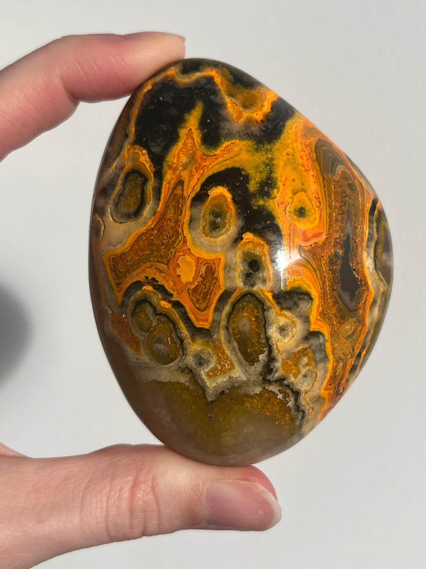 'Archelon' Old Stock Orbicular Bumblebee Jasper Freefom #11