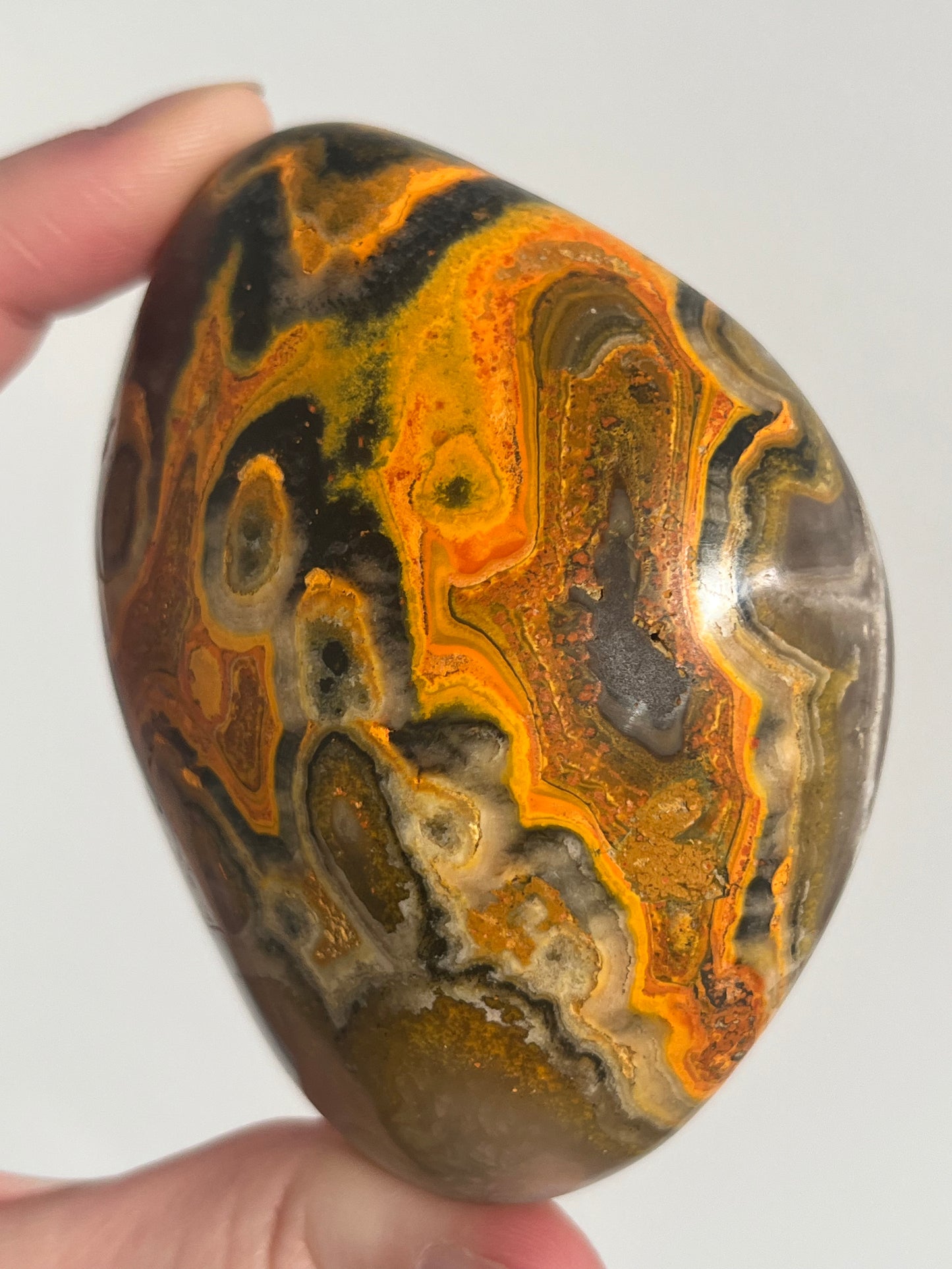 'Archelon' Old Stock Orbicular Bumblebee Jasper Freefom #11