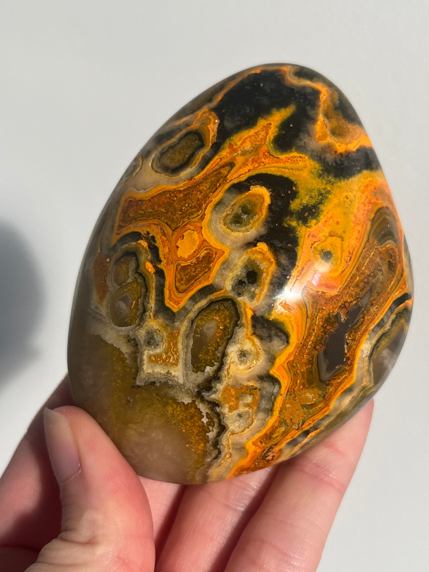 'Archelon' Old Stock Orbicular Bumblebee Jasper Freefom #11