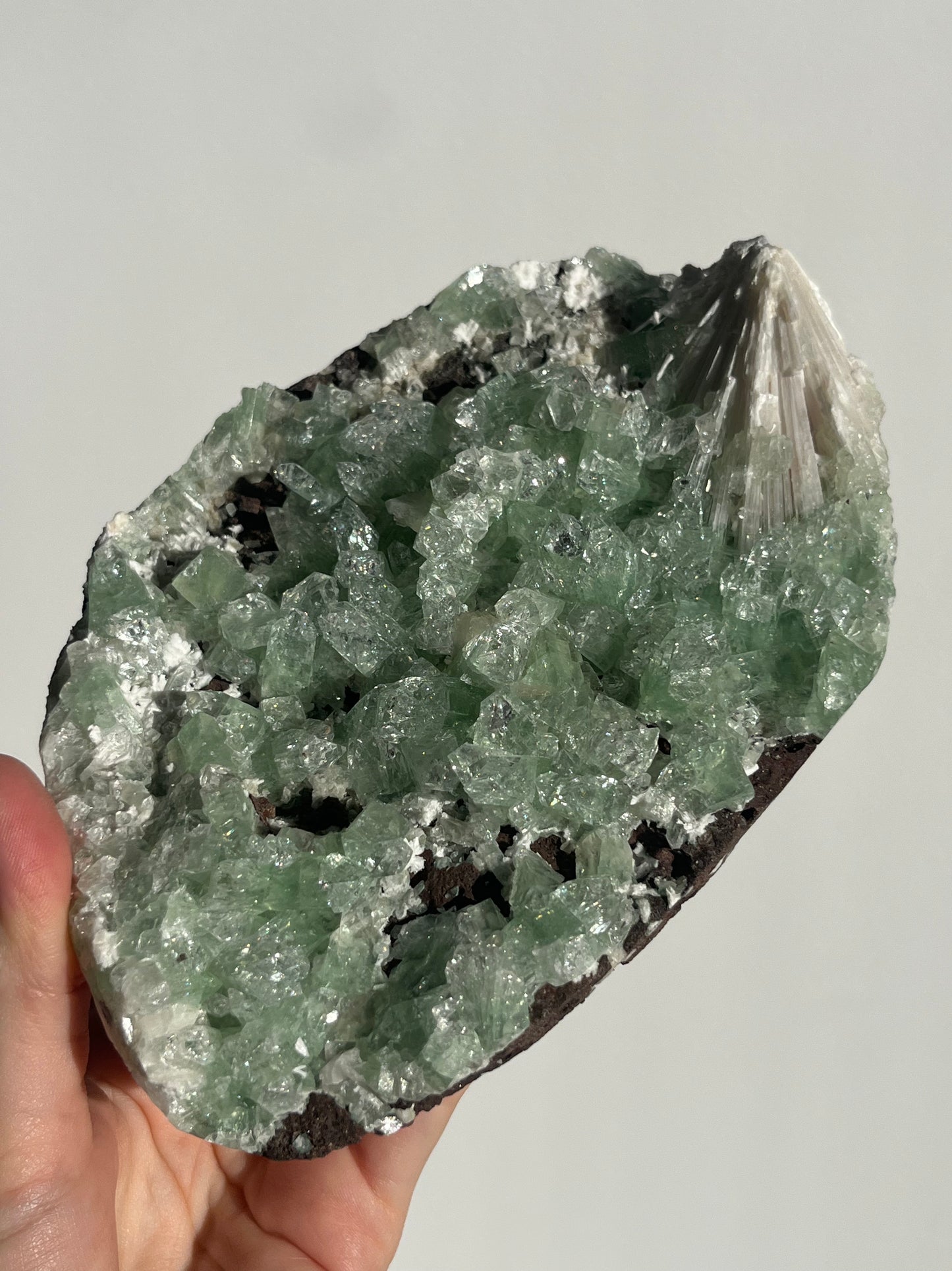 Pointed Green Apophyllite with Scolecite Spray Specimen A