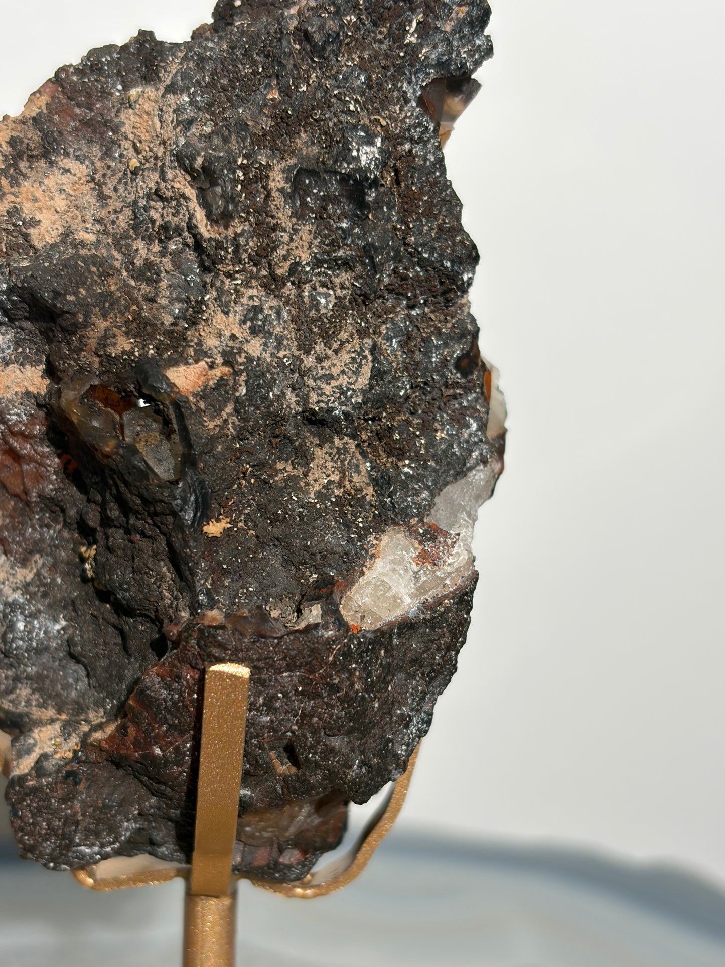 "Renard" Red Fox Agate on Custom Display Stand G