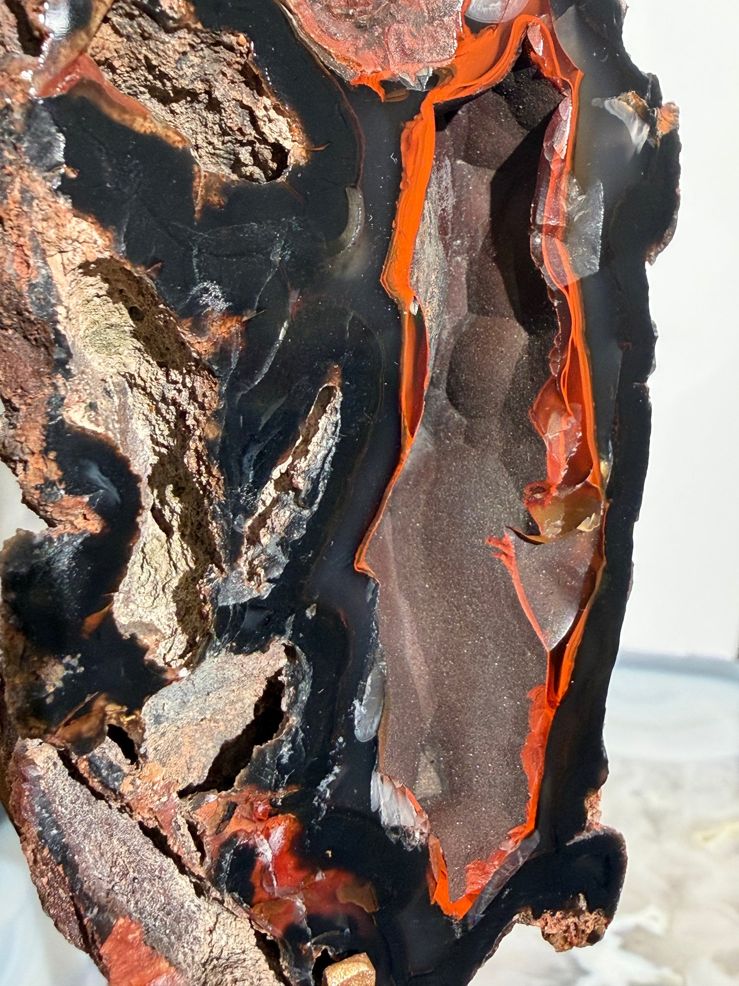 "Tavian" Red Fox Agate on Custom Display Stand I