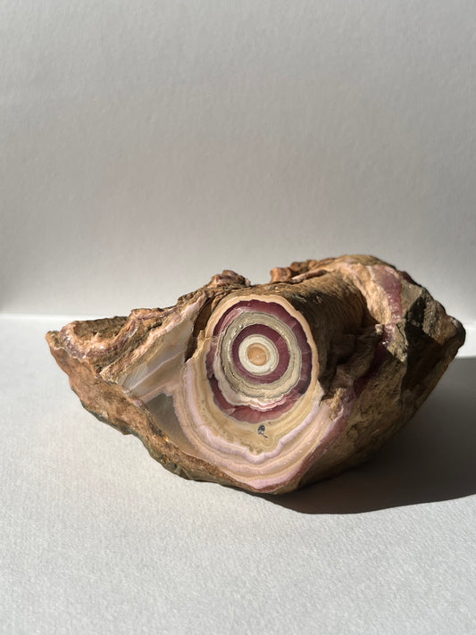 1980s Rhodochrosite Stalactite Log in Original Host Matrix (Collector's Choice)