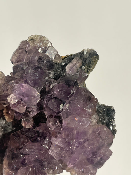 Sceptre Amethyst on Matrix Specimen C (Collector’s Choice)