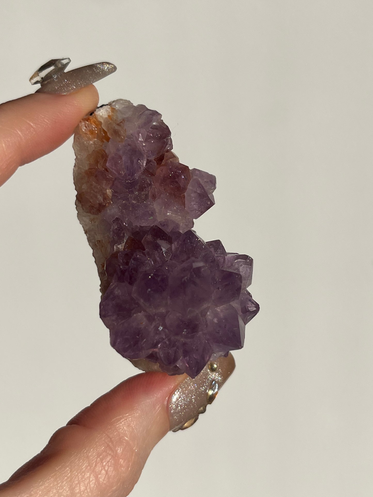 Amethyst Rose Specimen E