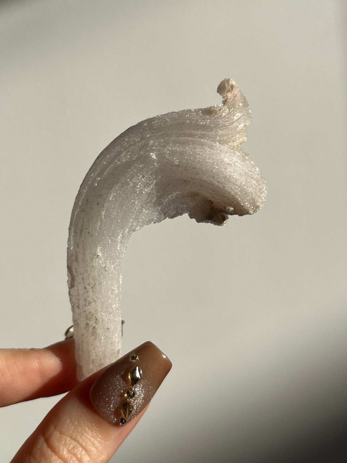 Selenite Horn Specimen C