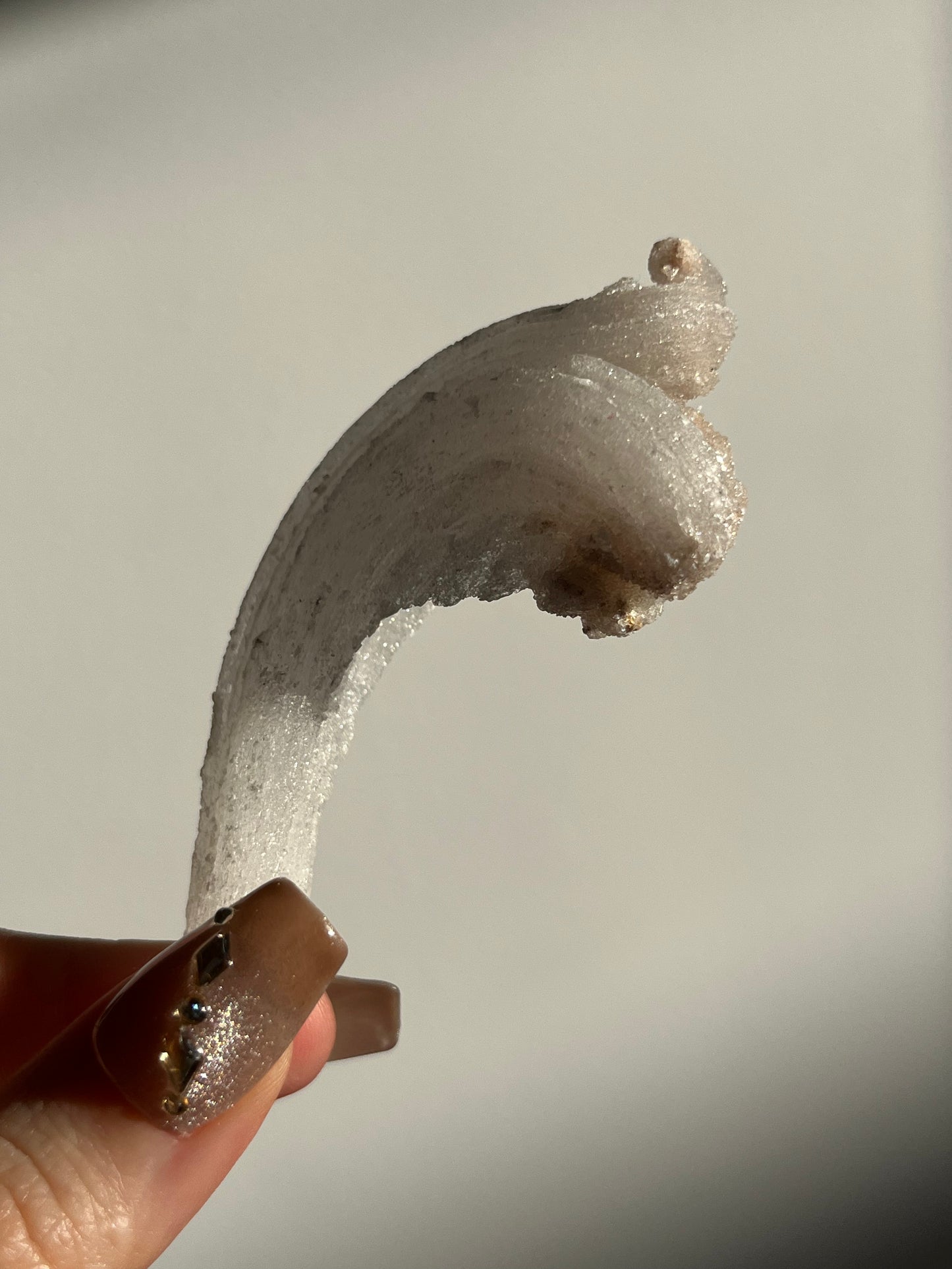 Selenite Horn Specimen C