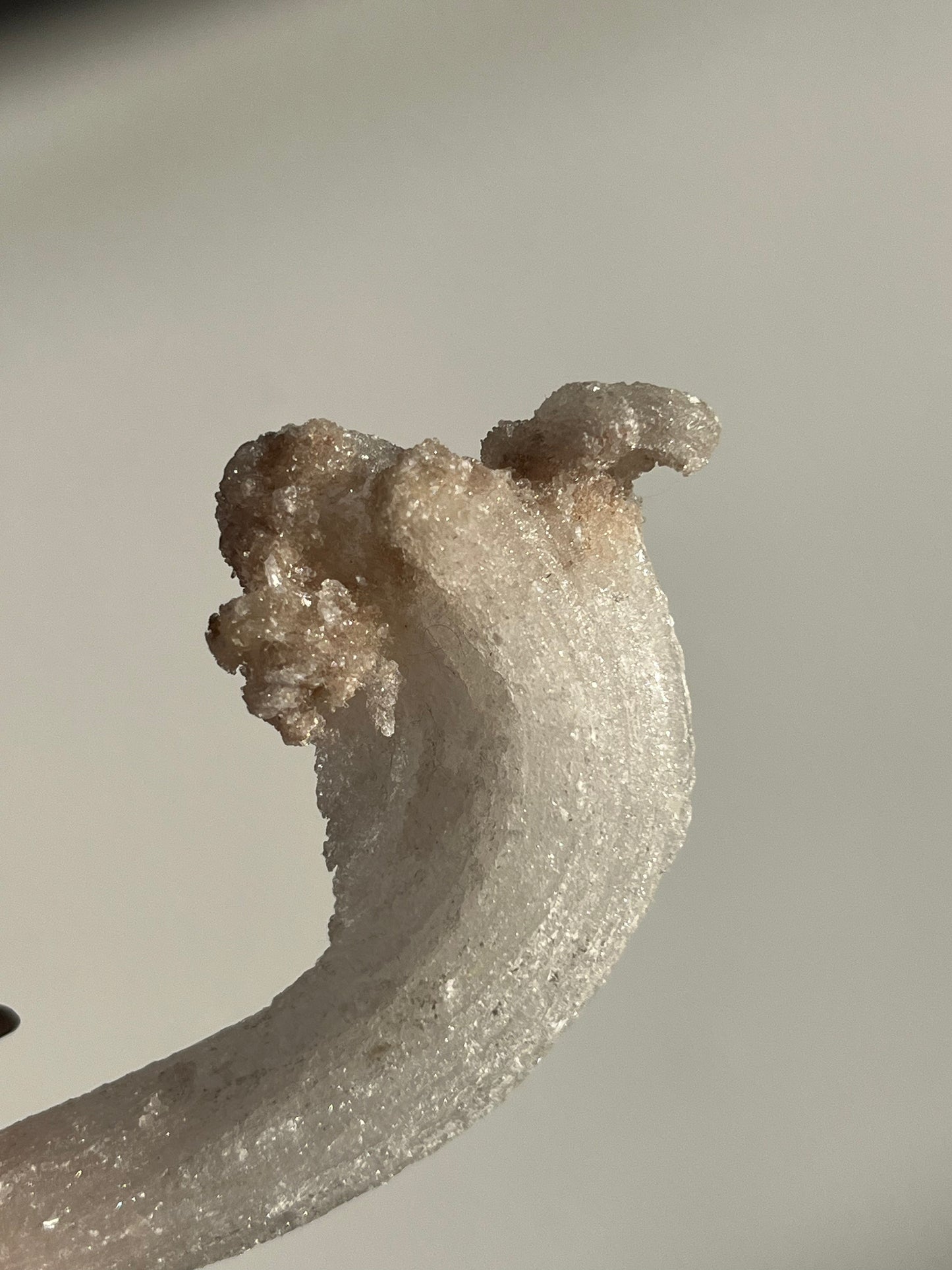 Selenite Horn Specimen C