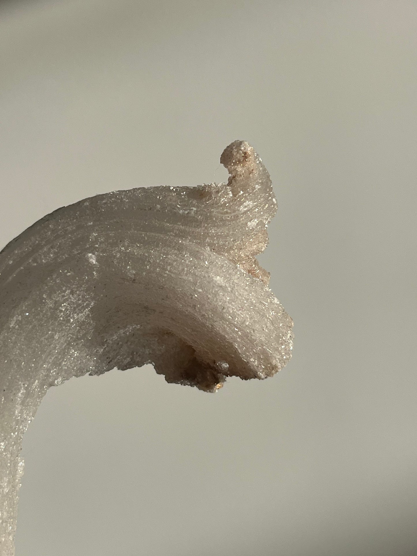 Selenite Horn Specimen C