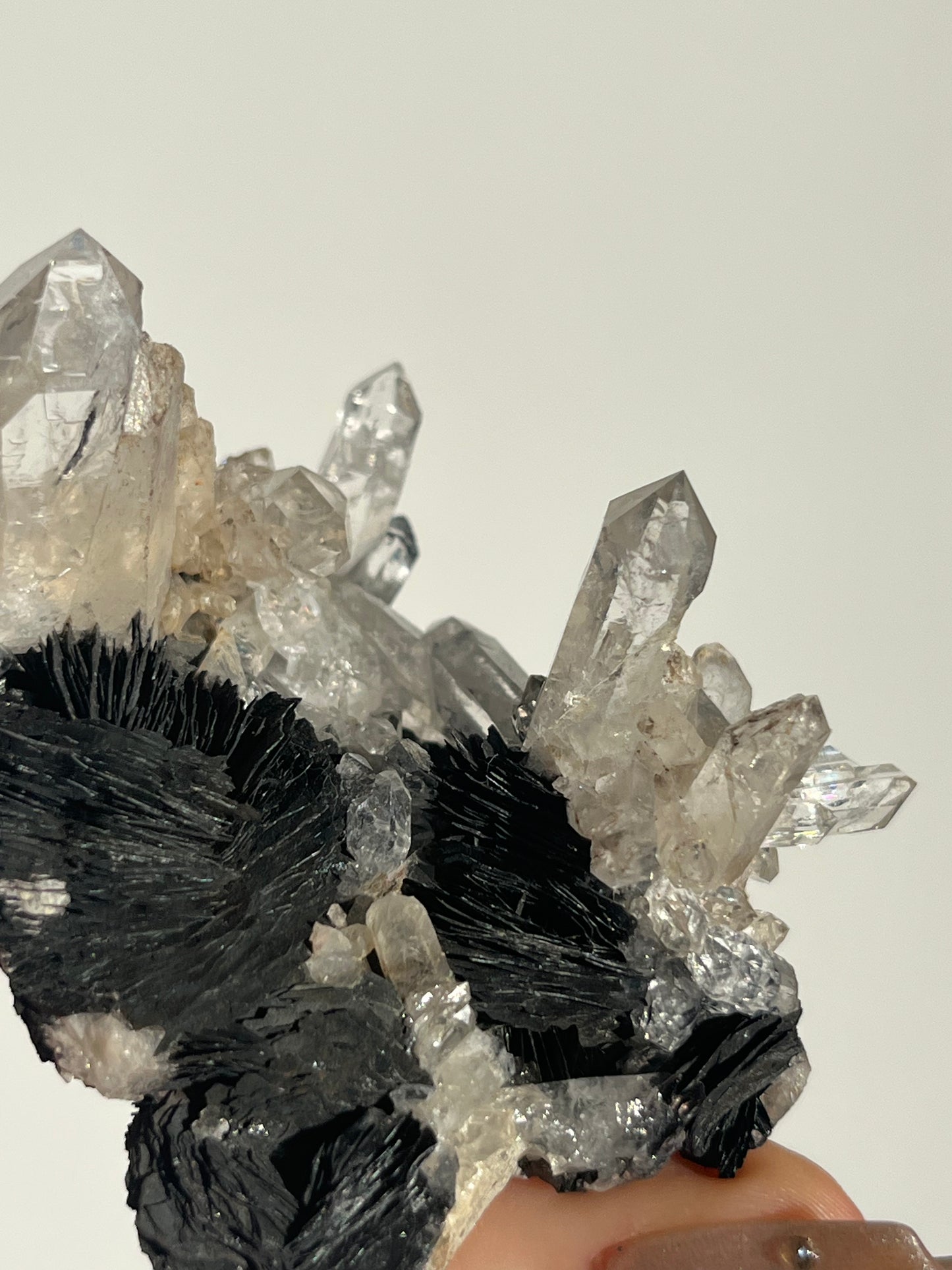 Specularite Hematite Rose with Quartz Specimen G