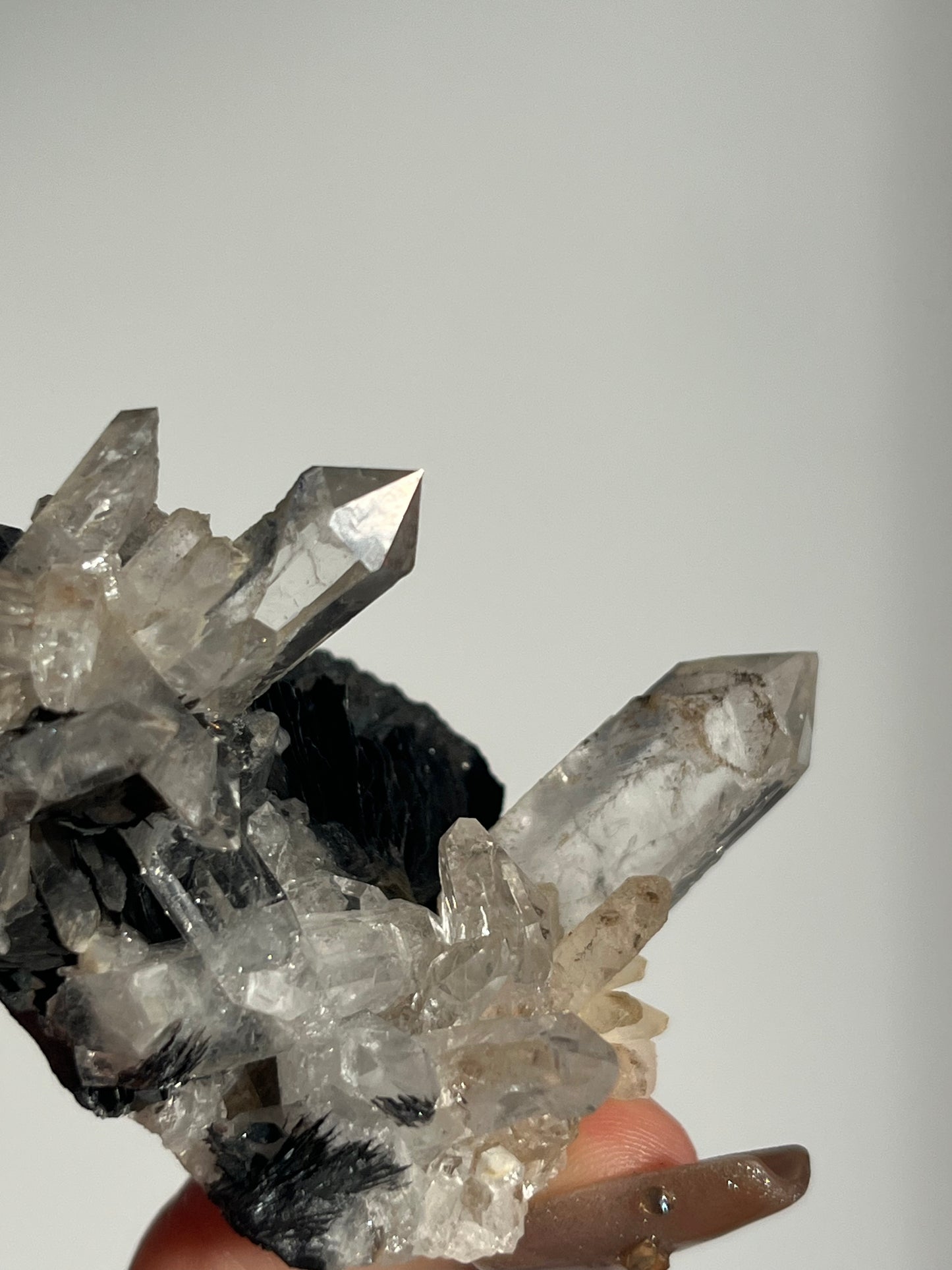 Specularite Hematite Rose with Quartz Specimen G
