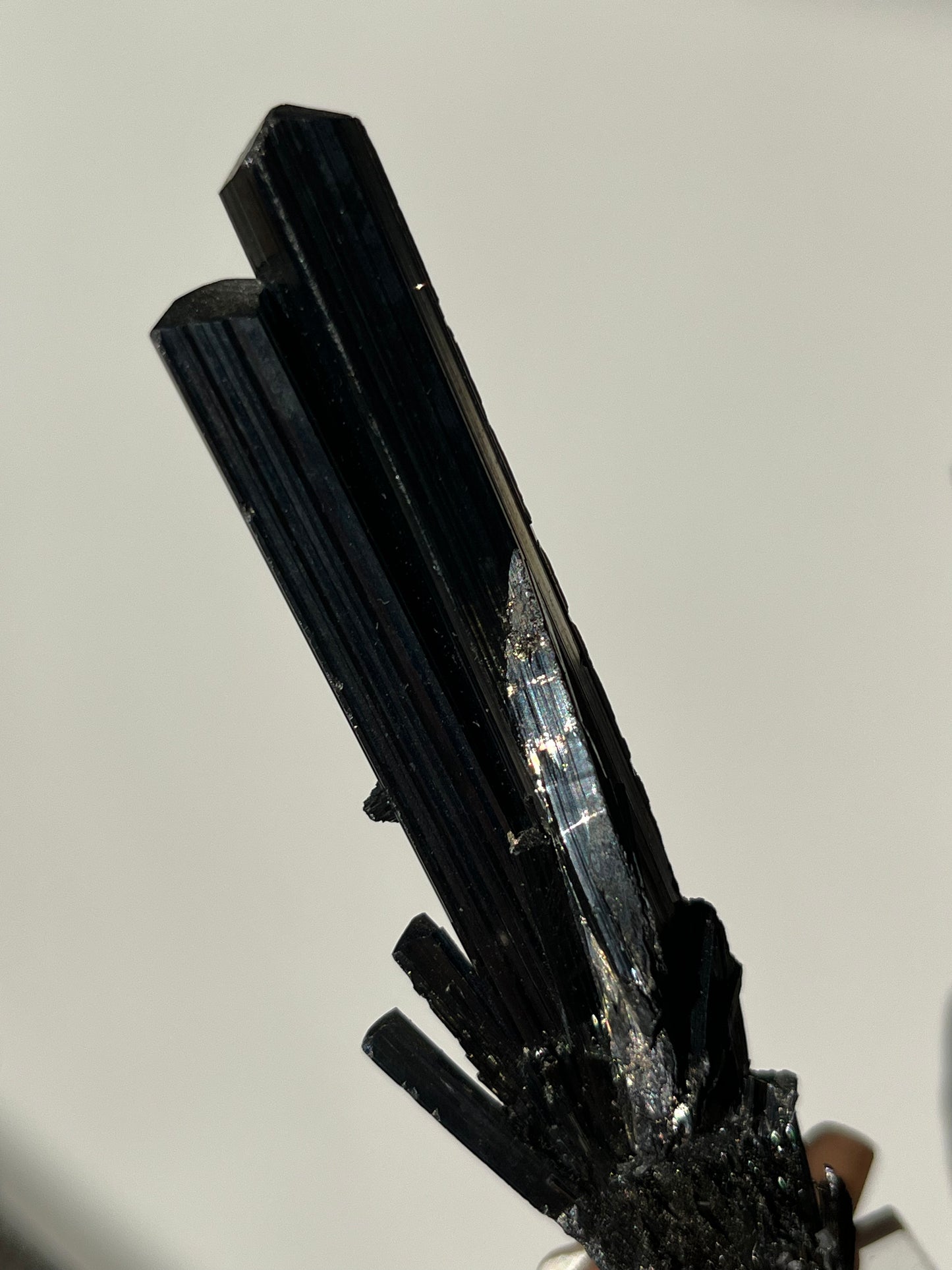 Twinned Stibnite Specimen (Perfectly Imperfect Termination Damage) ex. Lou & Diana Conti Collection