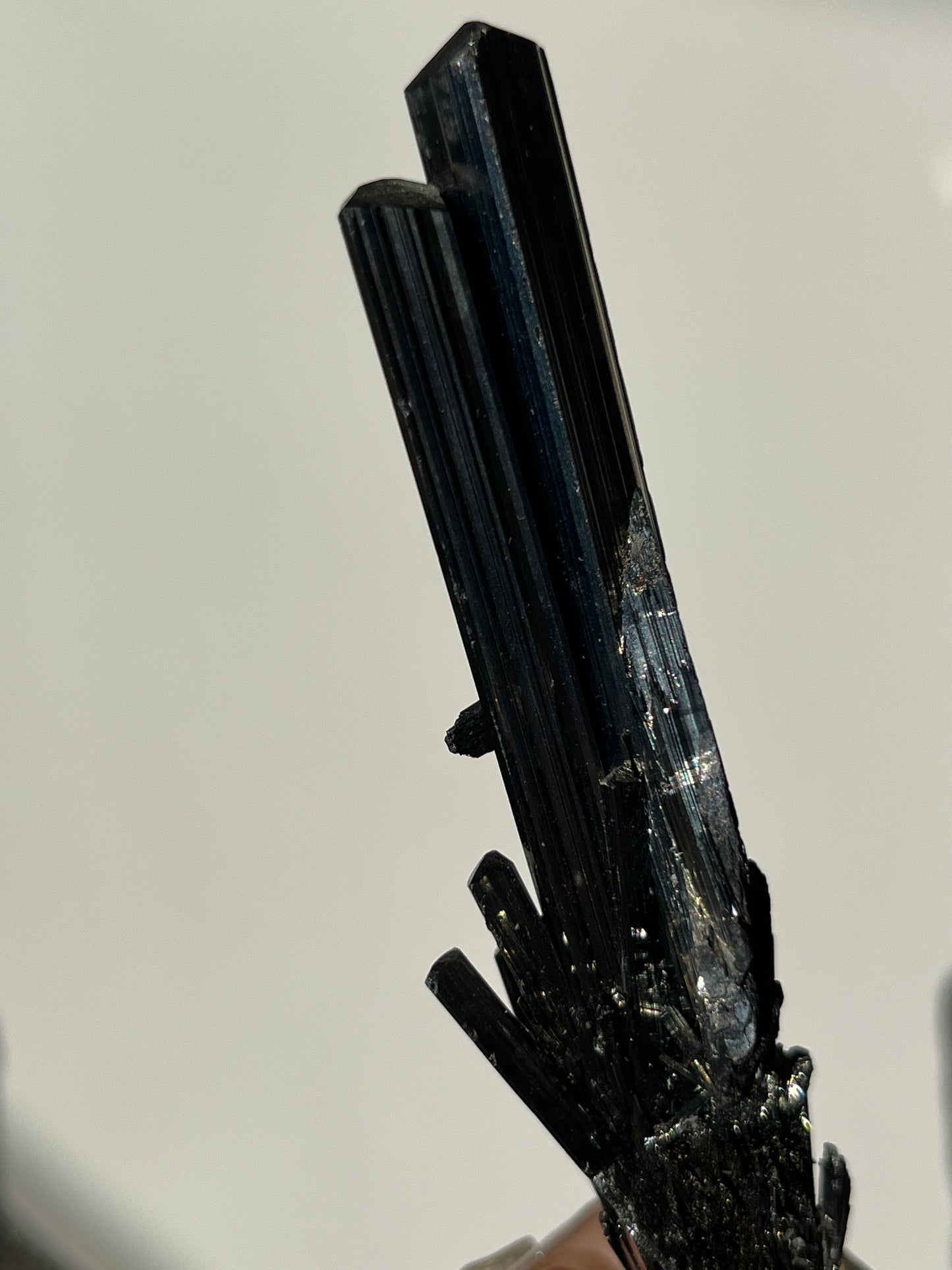 Twinned Stibnite Specimen (Perfectly Imperfect Termination Damage) ex. Lou & Diana Conti Collection