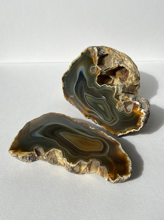 "Alluvia" West Indonesian River Agate Pair