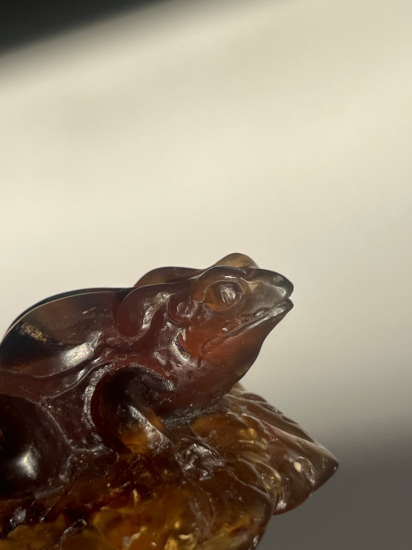 "Katak" Sumatran Amber Frog on Monstera Leaves Carving