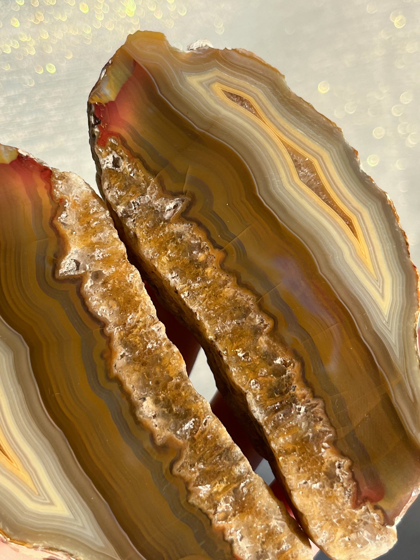 Sumatran Golden Lace Agate & Hematoid Quartz Pair