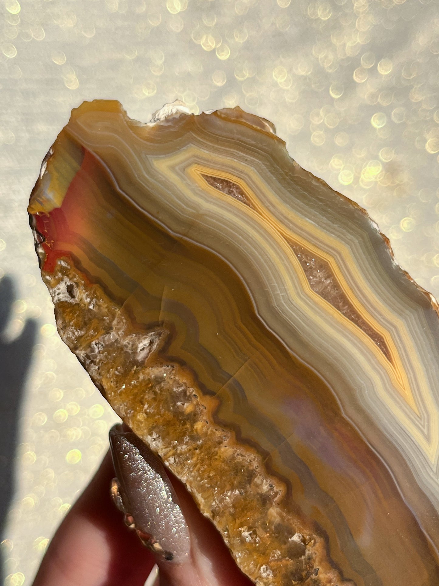 Sumatran Golden Lace Agate & Hematoid Quartz Pair