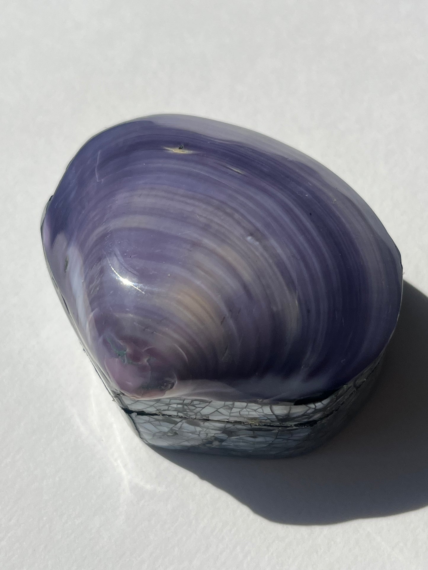 The Tiffany Shell Box with Paua Shell
