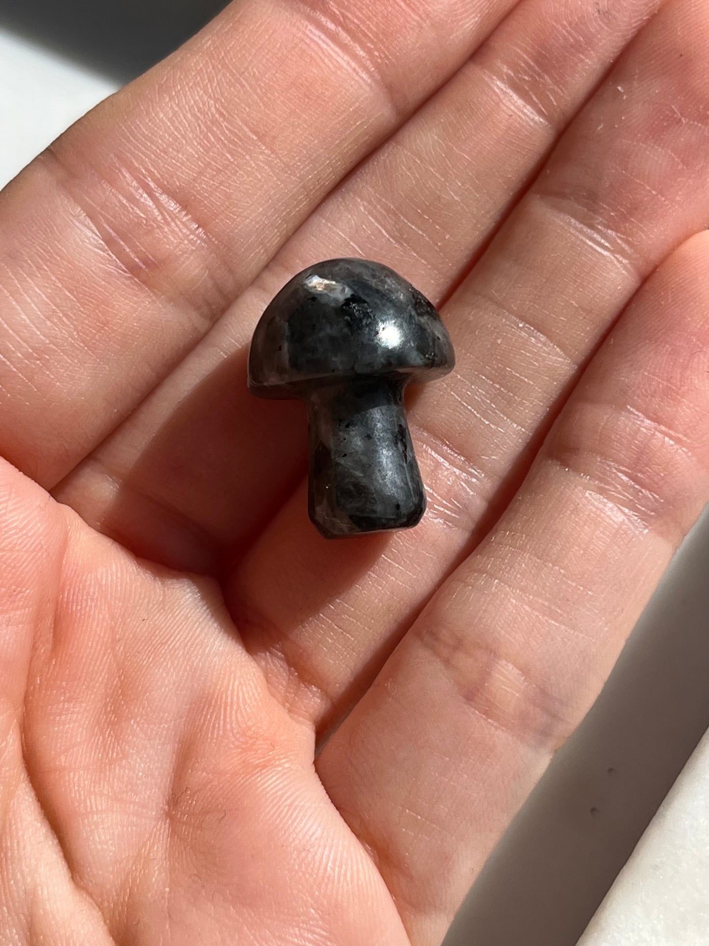 Larvikite Mushroom Carving