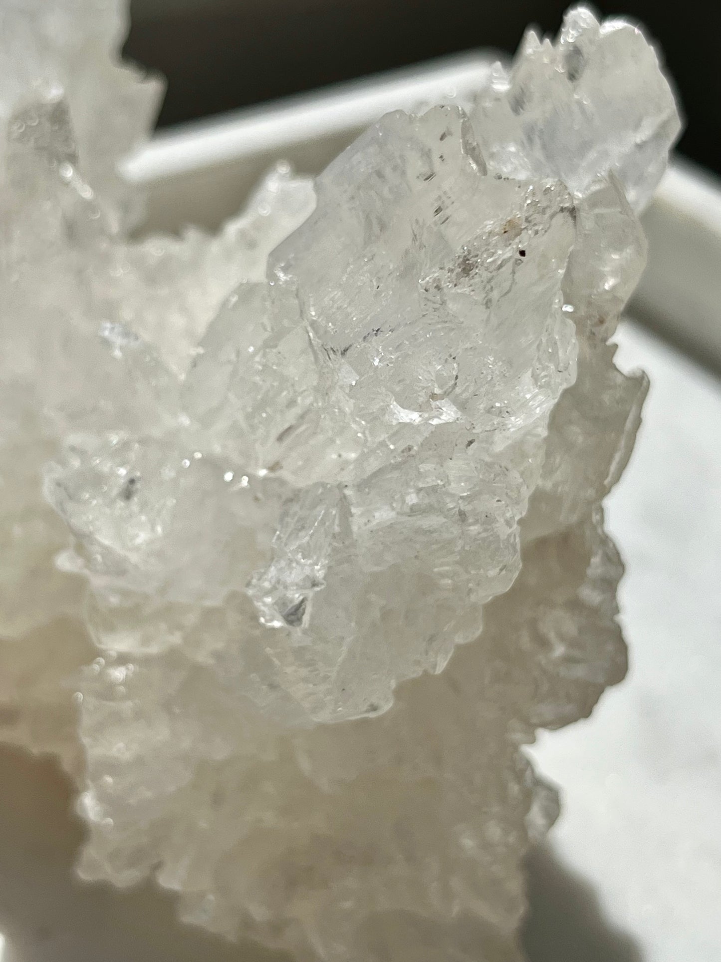 Natural Etched Selenite Cluster #4